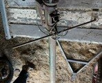 IMG_0567